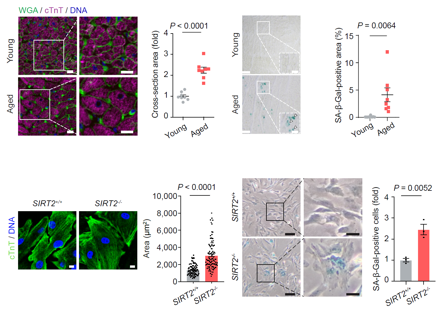 亚星游戏·yaxin222(中国官网)_亚星注册登录