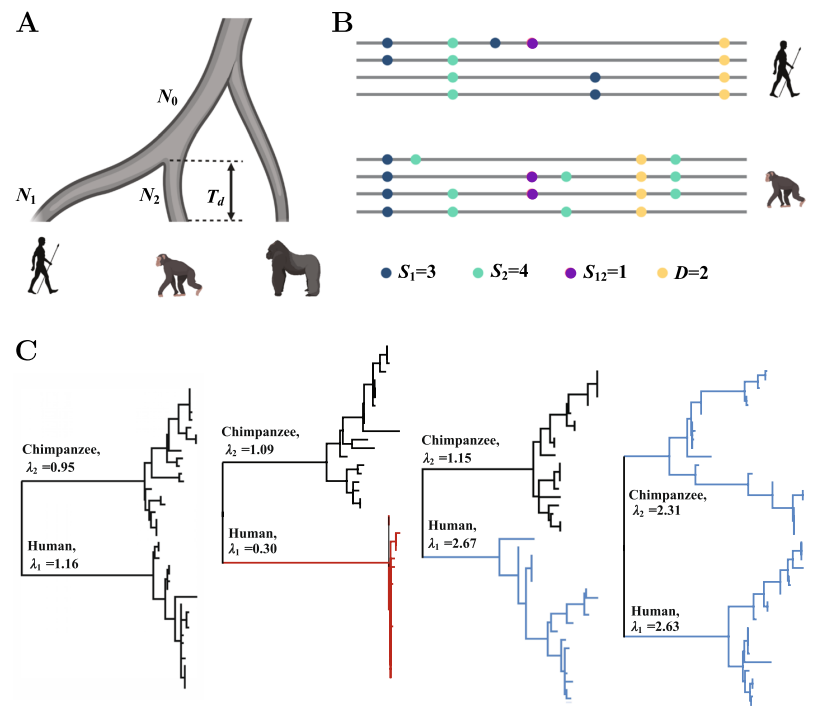 亚星游戏·yaxin222(中国官网)_亚星注册登录