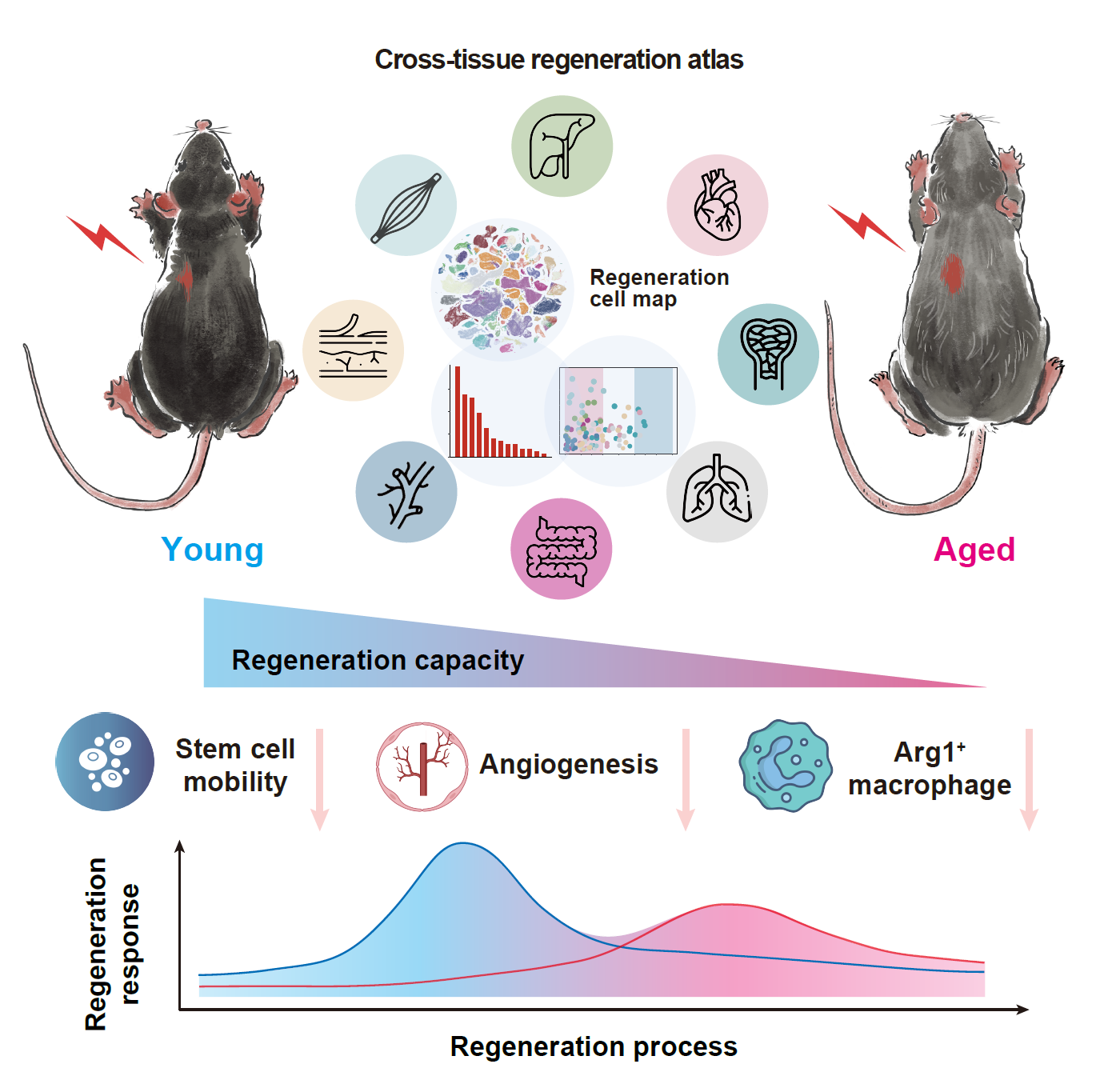 亚星游戏·yaxin222(中国官网)_亚星注册登录