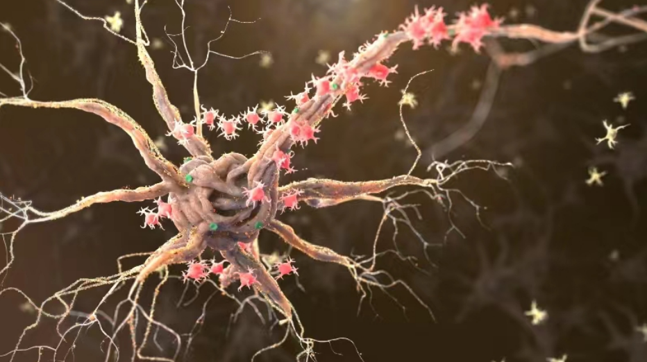 亚星游戏·yaxin222(中国官网)_亚星注册登录