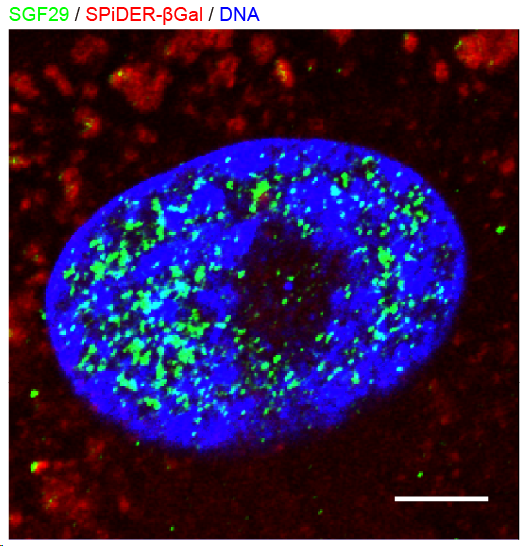 亚星游戏·yaxin222(中国官网)_亚星注册登录