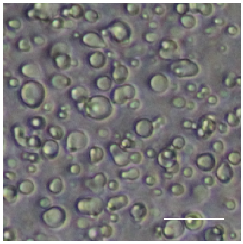 亚星游戏·yaxin222(中国官网)_亚星注册登录