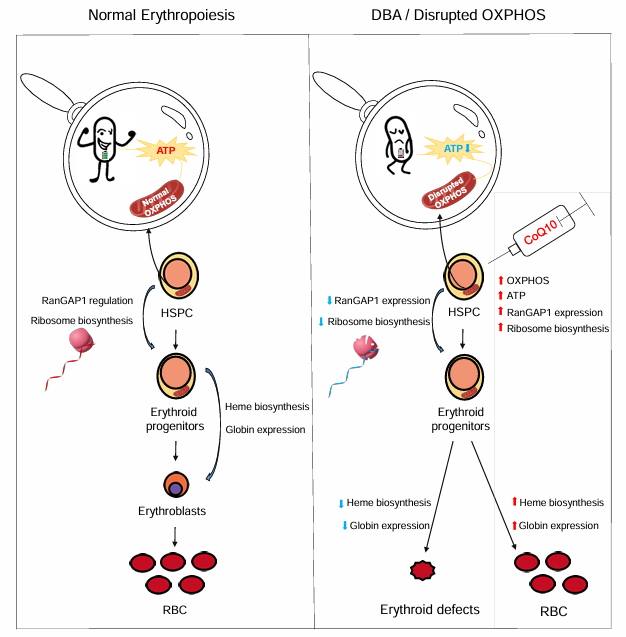 亚星游戏·yaxin222(中国官网)_亚星注册登录