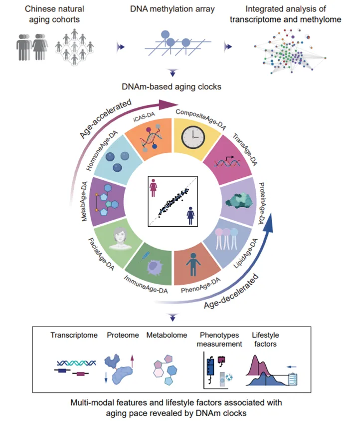 亚星游戏·yaxin222(中国官网)_亚星注册登录
