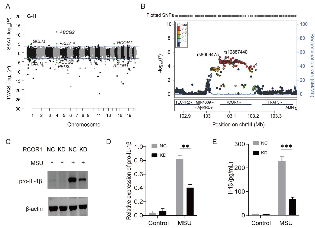 亚星游戏·yaxin222(中国官网)_亚星注册登录