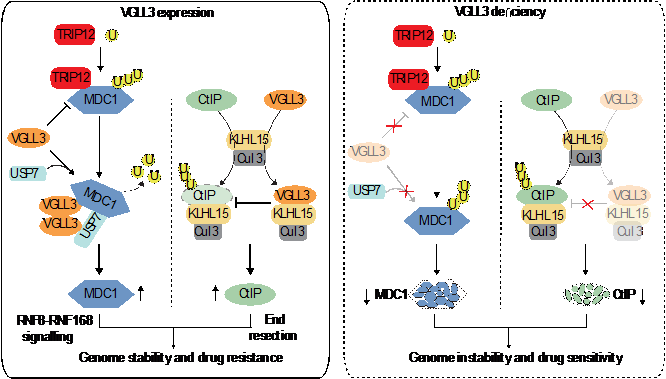 亚星游戏·yaxin222(中国官网)_亚星注册登录