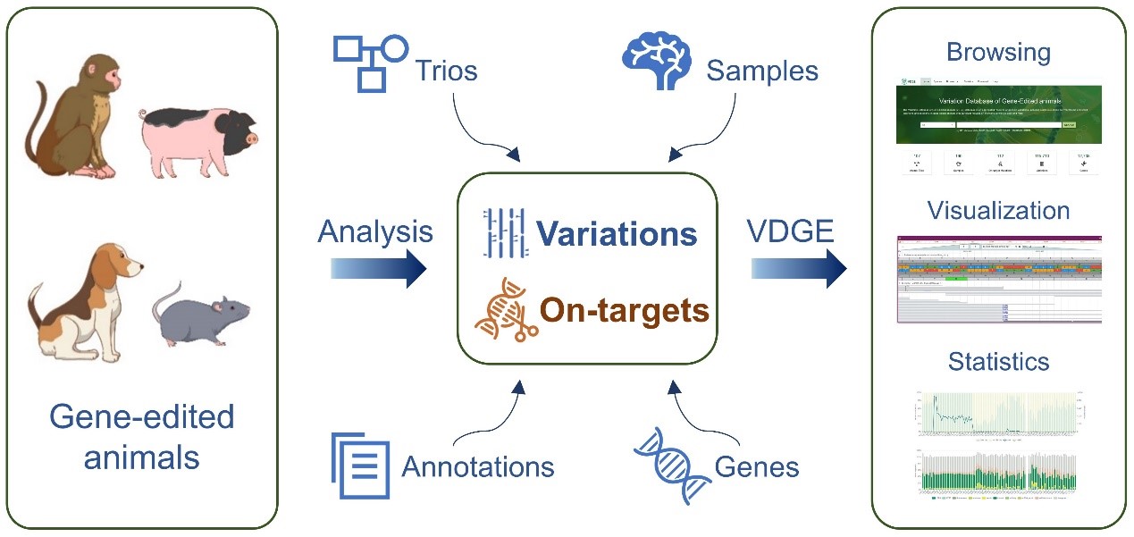 亚星游戏·yaxin222(中国官网)_亚星注册登录