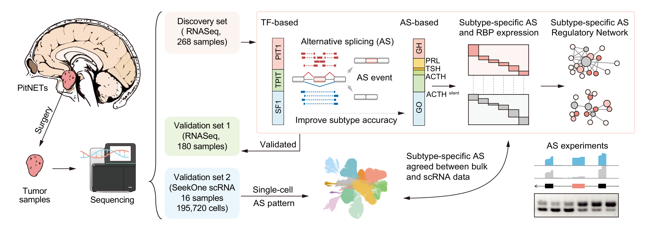 亚星游戏·yaxin222(中国官网)_亚星注册登录