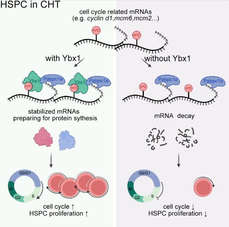 亚星游戏·yaxin222(中国官网)_亚星注册登录