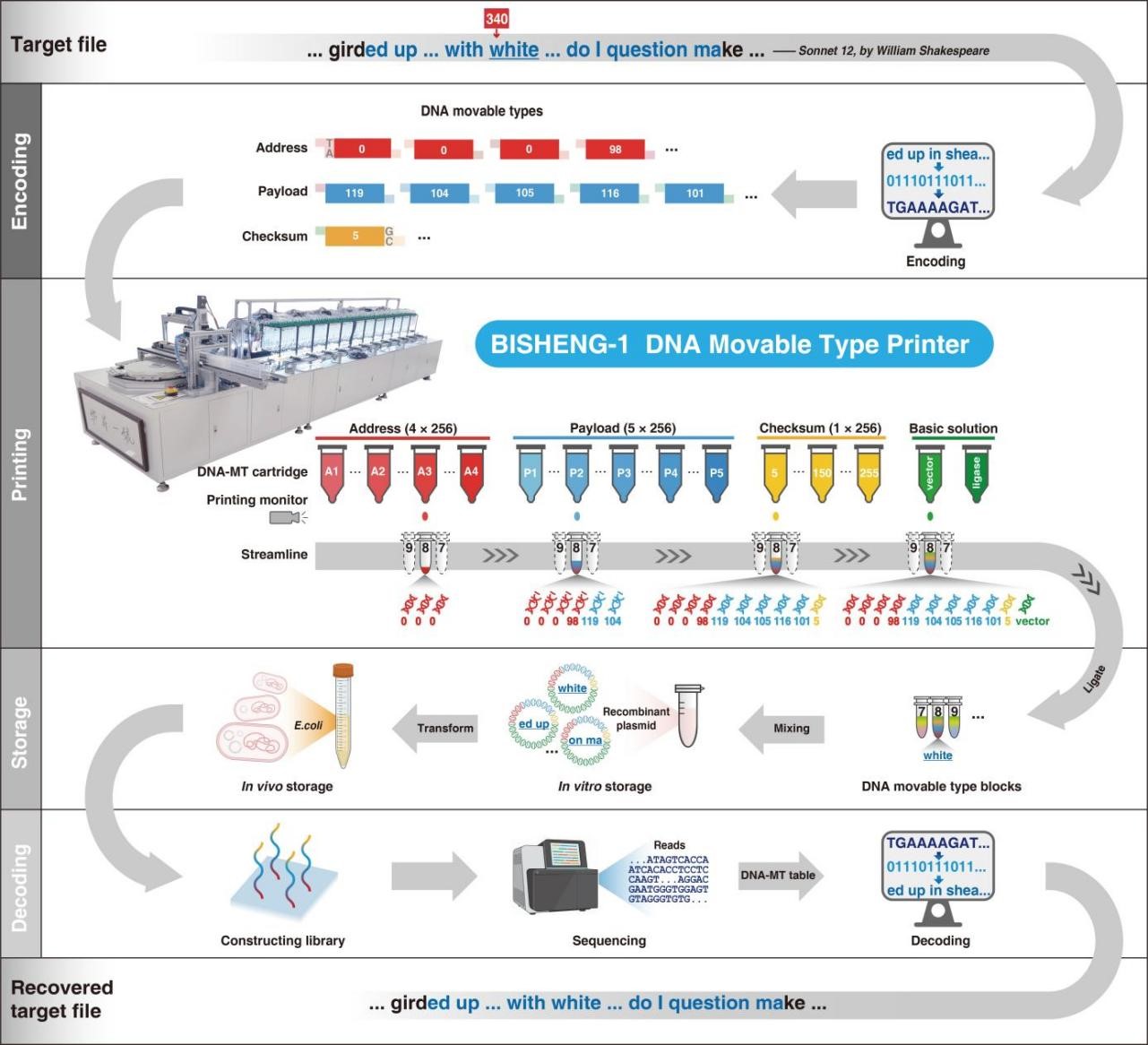 亚星游戏·yaxin222(中国官网)_亚星注册登录