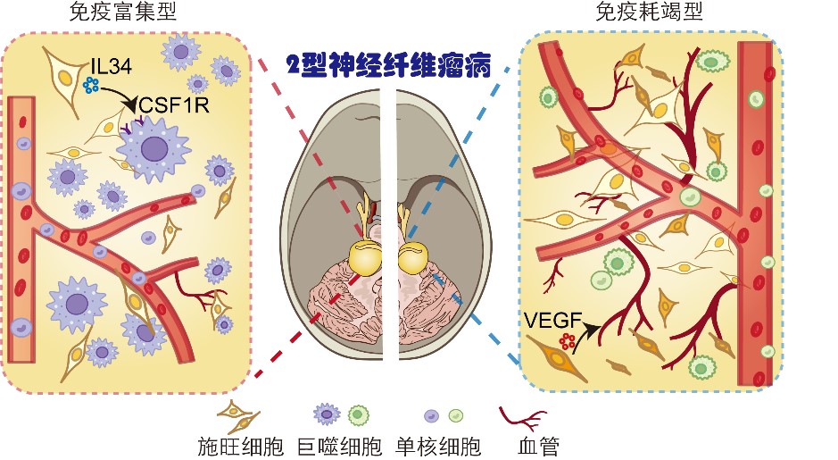 亚星游戏·yaxin222(中国官网)_亚星注册登录