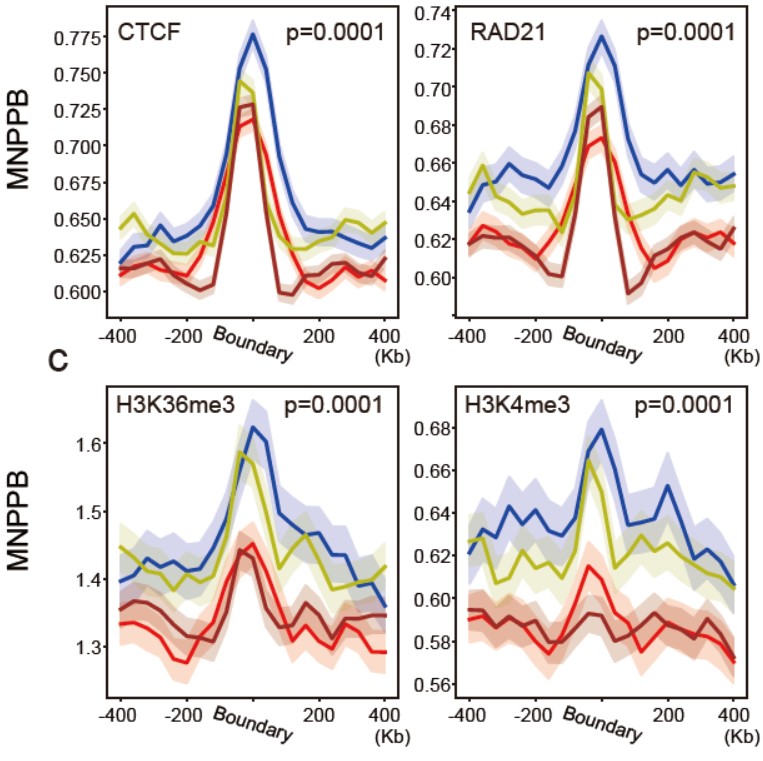 亚星游戏·yaxin222(中国官网)_亚星注册登录