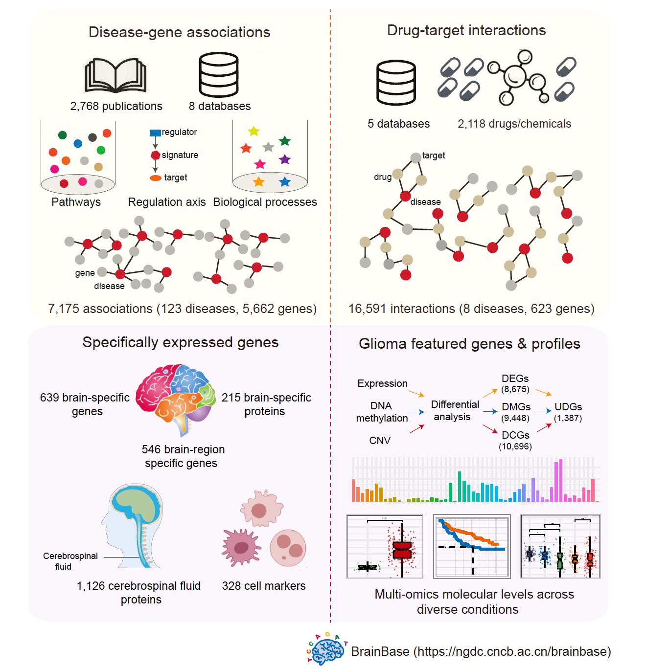 亚星游戏·yaxin222(中国官网)_亚星注册登录