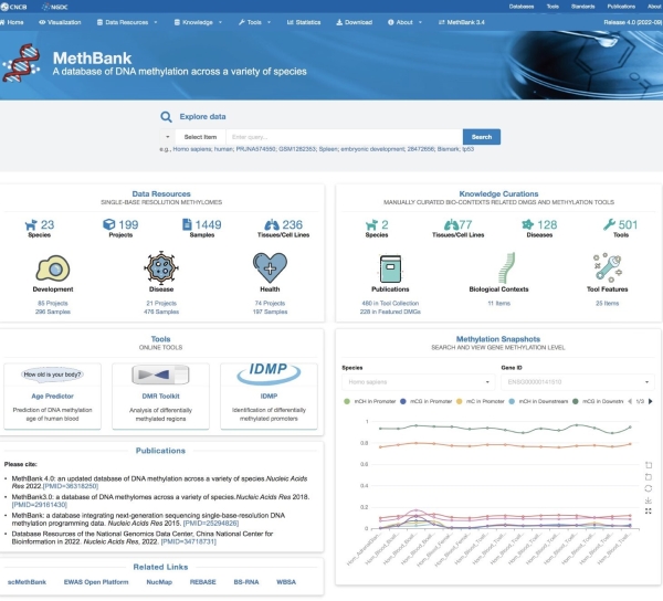 亚星游戏·yaxin222(中国官网)_亚星注册登录