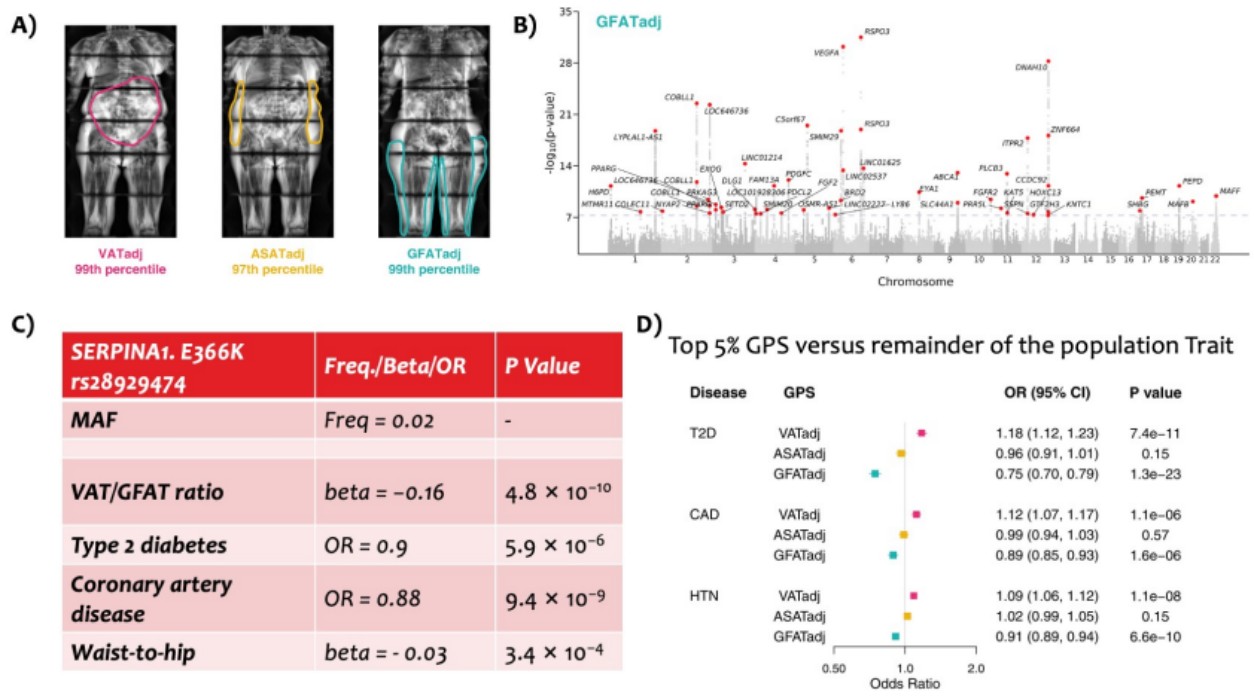 亚星游戏·yaxin222(中国官网)_亚星注册登录