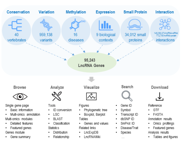 亚星游戏·yaxin222(中国官网)_亚星注册登录