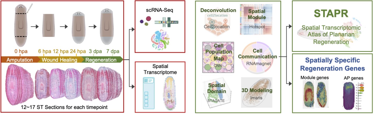 亚星游戏·yaxin222(中国官网)_亚星注册登录