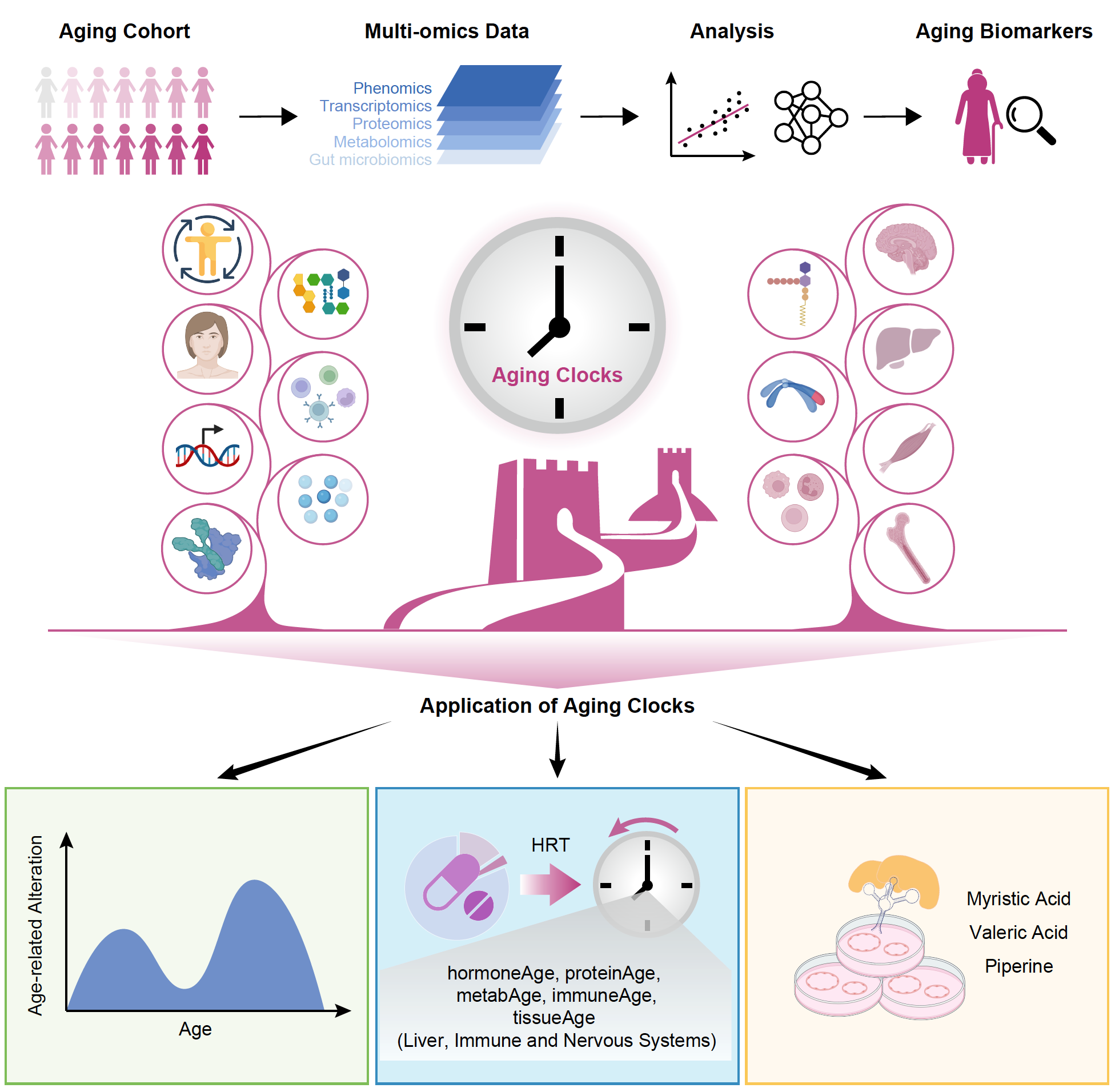 亚星游戏·yaxin222(中国官网)_亚星注册登录