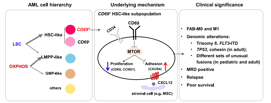 亚星游戏·yaxin222(中国官网)_亚星注册登录
