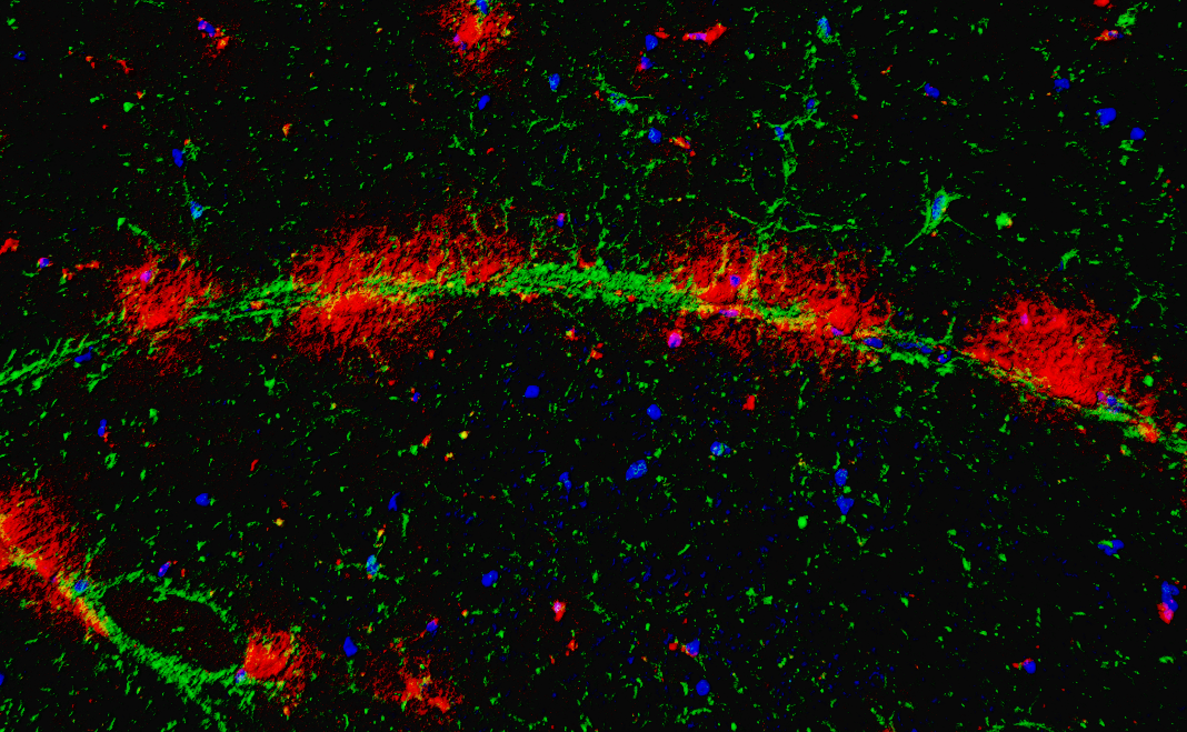 亚星游戏·yaxin222(中国官网)_亚星注册登录