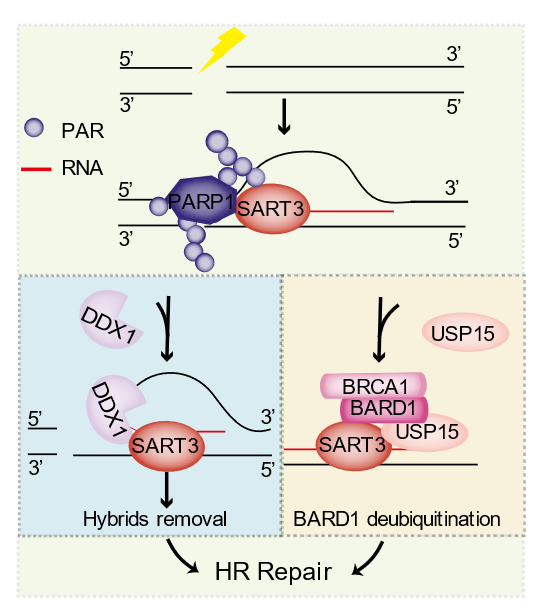 亚星游戏·yaxin222(中国官网)_亚星注册登录