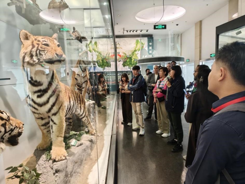 亚星游戏·yaxin222(中国官网)_亚星注册登录