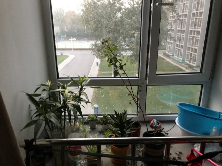 亚星游戏·yaxin222(中国官网)_亚星注册登录