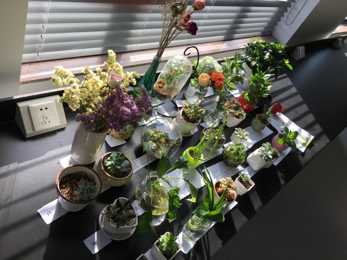 亚星游戏·yaxin222(中国官网)_亚星注册登录