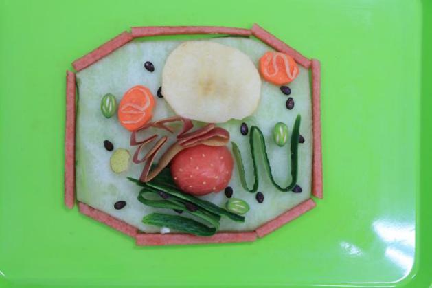 亚星游戏·yaxin222(中国官网)_亚星注册登录