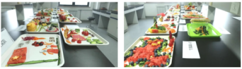 亚星游戏·yaxin222(中国官网)_亚星注册登录