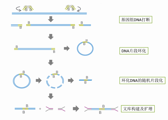 亚星游戏·yaxin222(中国官网)_亚星注册登录